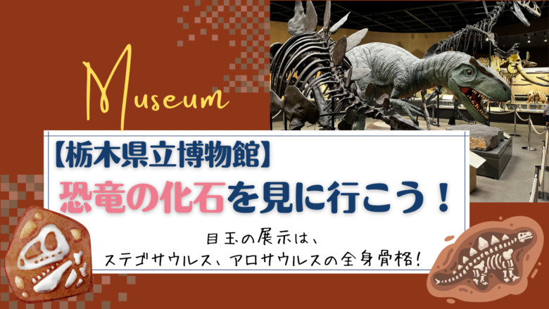 https://dekunoblog.com/tochigi-museum-dinosaur/