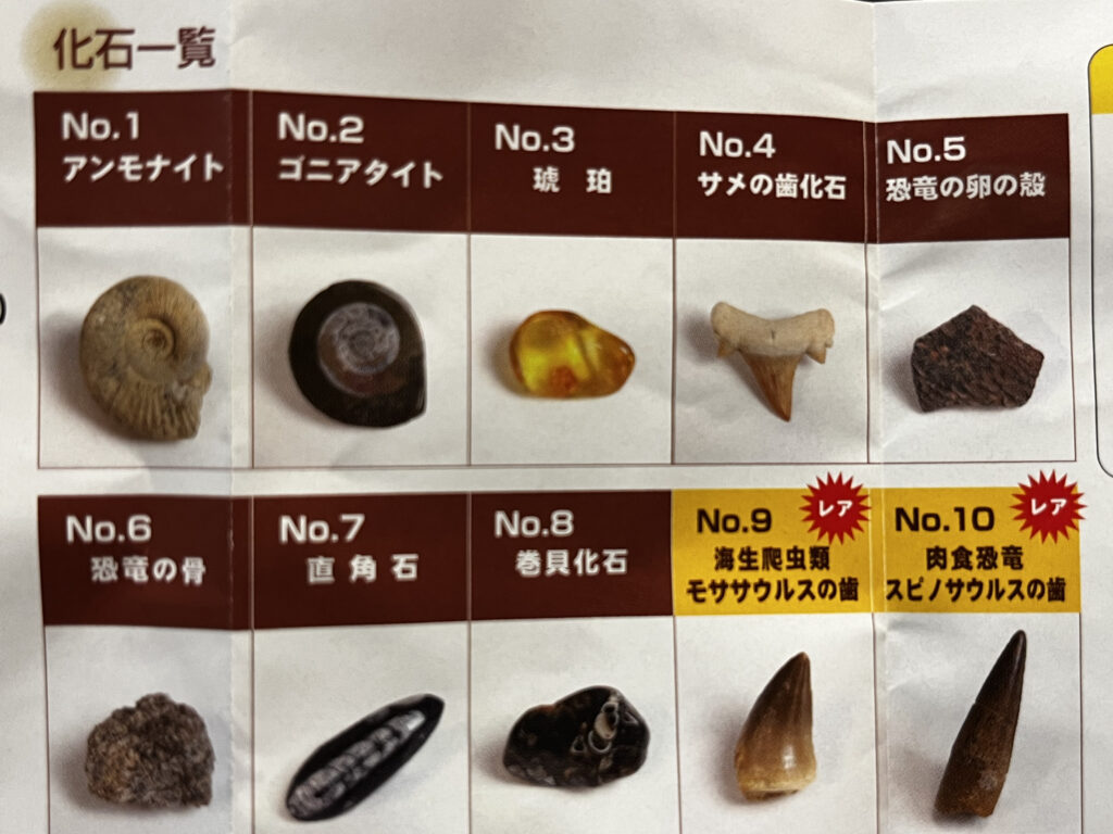 栃木県立博物館　お土産　ガチャポンのラインナップ